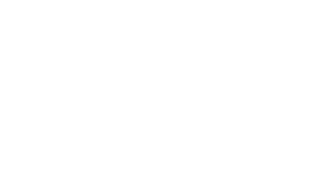 STF-Logo